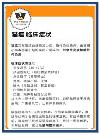 猫咪得猫瘟的症状，（猫瘟撑过几天算安全了）
