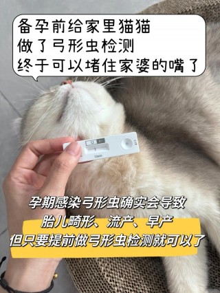 猫咪弓形虫试纸准吗，（猫弓形虫检查是试纸还是抽血）