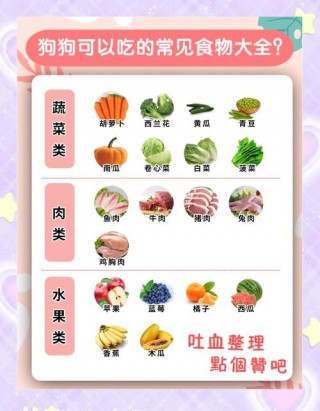 狗狗可以吃的蔬菜排名，（狗狗宜吃的蔬菜）