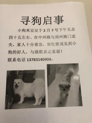 狗狗认识回家的路吗，狗一般走丢几天就彻底丢了？