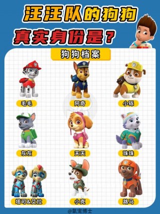 狗狗叫什么名字好？狗狗叫什么名字好听（最新）