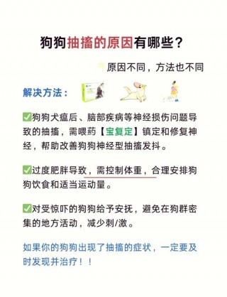 狗狗抽搐急救的正确方法，（狗抽搐最快的恢复办法）