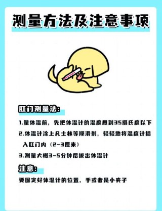 狗狗测体温几分钟，（狗狗测体温要几分钟）