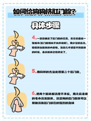 如何挤狗狗的肛门腺，如何挤狗狗的肛门腺视频教程？