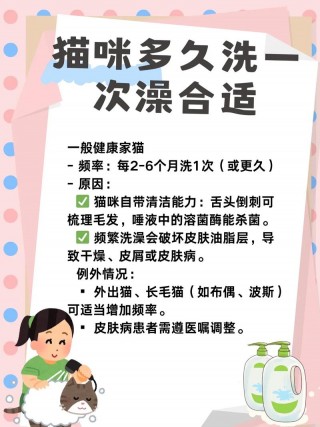 猫咪可以经常洗澡吗，如何给猫洗澡？