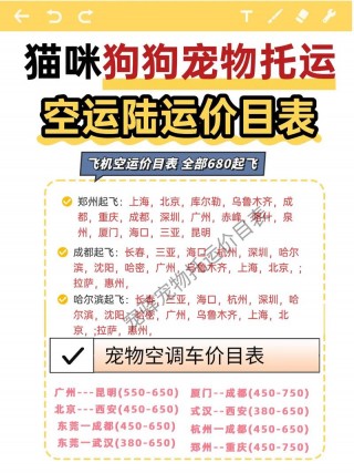 猫咪空运费大概多少钱？猫咪空运费多少钱一只（最新）