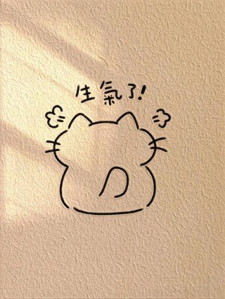 猫咪生气了怎么办，（猫咪生气了怎么样）
