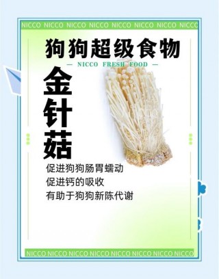 狗狗能吃金针菇吗，（狗狗能吃金针菇吗有毒吗）