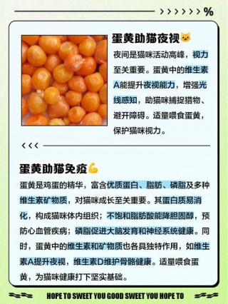 猫咪吃蛋黄可以化毛吗？猫咪吃蛋黄可以化毛吗怎么喂（最新）