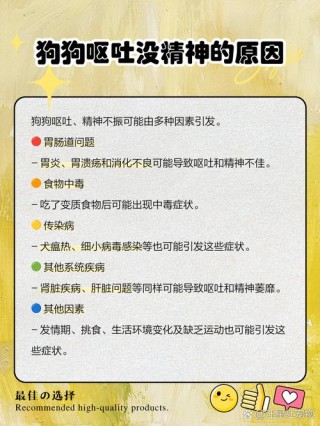 狗狗病了不吃东西怎么办？狗狗病了不吃东西怎么办呢（最新）