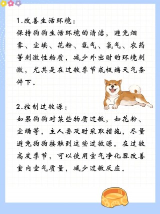 狗狗鼻塞吃什么药，（狗狗感冒流鼻涕会自愈吗）
