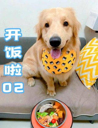 狗狗吃鱼肝油的好处？狗狗吃鱼肝油的好处与功效（最新）