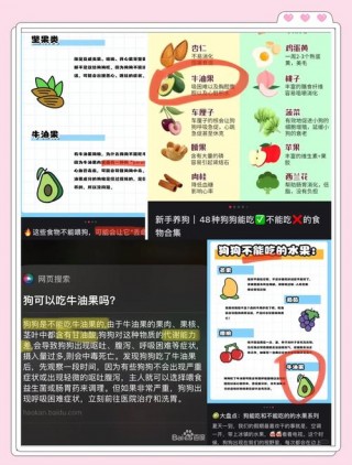 牛油果狗狗可以吃吗，（牛油果狗狗们能吃吗）