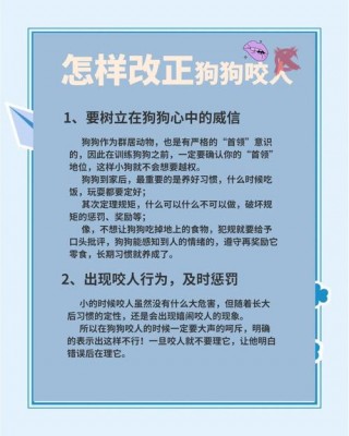 怎么教育狗狗不咬人？怎么教育狗狗不咬人视频（最新）