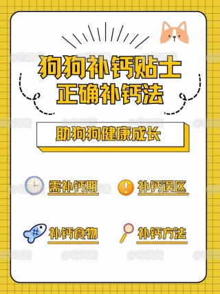 如何给狗狗补钙？如何给狗狗补钙不过量（最新）