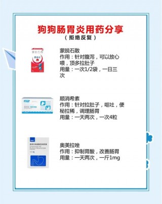 狗狗急性胃炎吃什么药，（狗狗急性胃肠炎症的症状）