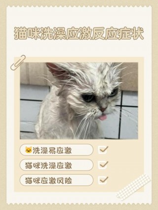 猫咪洗完澡发抖，（猫猫洗完澡后发抖）