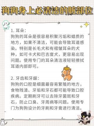 狗狗鼻子进水了怎么办，（狗鼻子进水然后巷呛到一样怎么办）