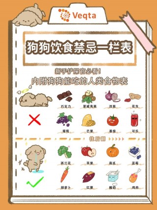 狗狗不能吃的东西有哪些，狗狗厌食不吃东西是什么原因？