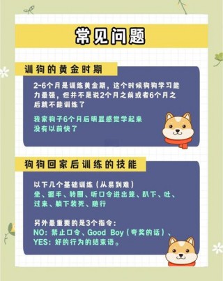 怎么教狗狗坐下，（怎么教狗狗坐下?）