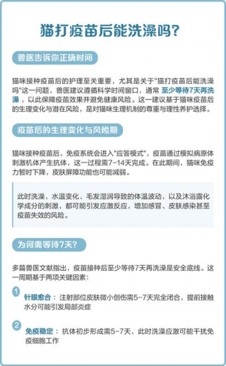 猫咪打针前能洗澡吗，（猫咪打针前能吃东西吗）
