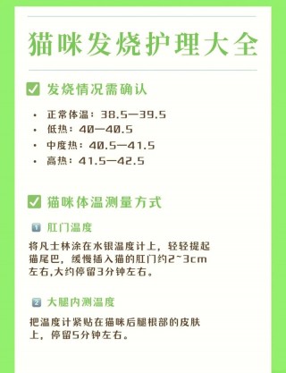 怎么看猫咪是否发烧？怎样看猫是否发烧了（最新）