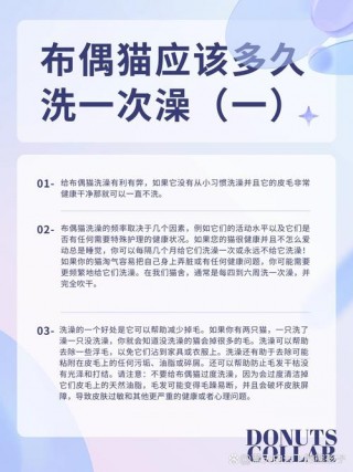 猫咪多久洗一次澡合适，（一周给猫洗一次澡行吗）