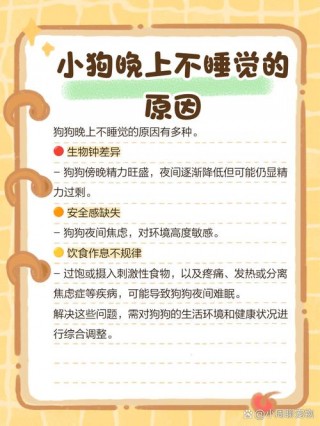 怎样哄狗狗睡觉？怎样哄狗狗睡觉不叫（最新）