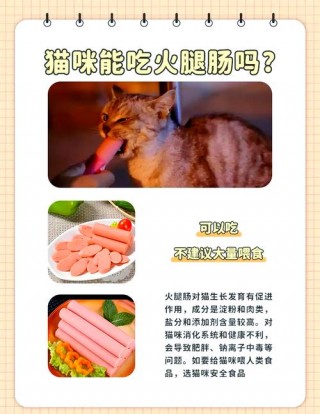 猫咪能吃香肠吗，猫可不可以吃香肠？