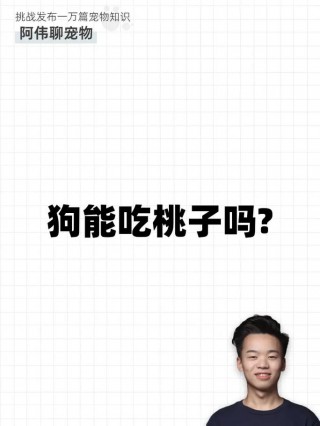 狗狗可以吃油桃吗，狗子可以吃油桃嘛？