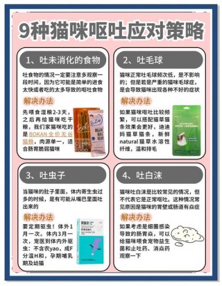 猫咪吐了怎么办？猫咪吐了怎么办最快最有效（最新）