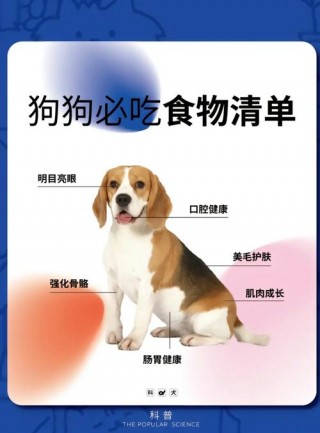 三个月大的狗狗一天喂几次？三个月大的狗狗一天喂几次水（最新）