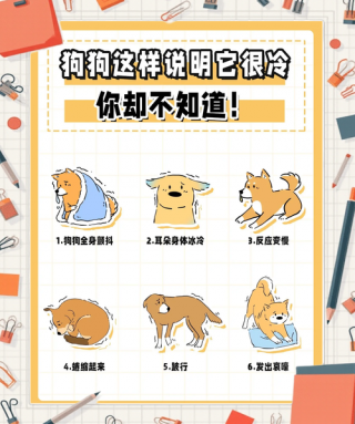 狗狗冷的发抖怎么办，（小狗太冷发抖）