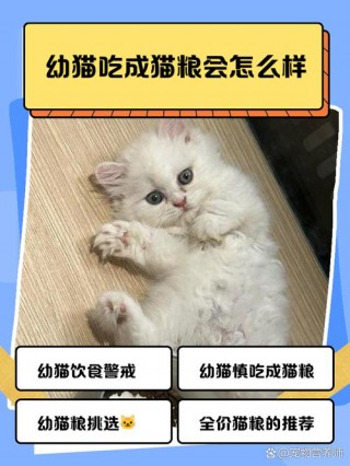 成猫可以吃幼猫猫粮吗，成猫可以吃幼猫粮吗知乎？