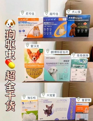 狗狗的驱虫药哪个牌子好，（狗狗驱虫药什么牌子好）