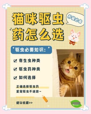 猫咪不吃驱虫药怎么办，猫咪不肯吃驱虫药怎么喂？