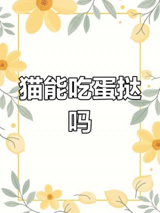 猫咪可以吃蛋挞吗，（小猫咪可以吃蛋挞吗?）