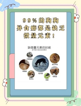狗狗吃微量元素的作用，（狗狗吃微量元素的作用有哪些）