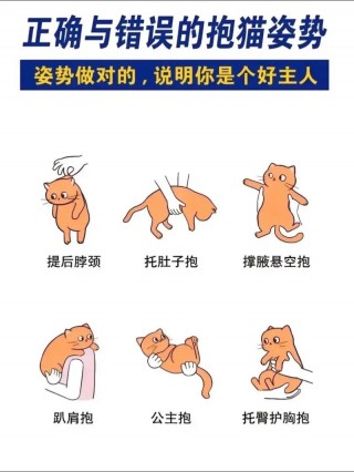 狗狗求抱抱什么表现？狗子求抱抱（最新）