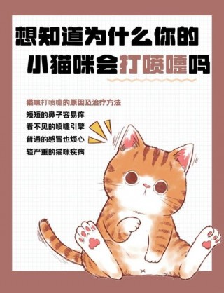 猫咪洗完澡打喷嚏？猫咪洗完澡打喷嚏流鼻涕（最新）