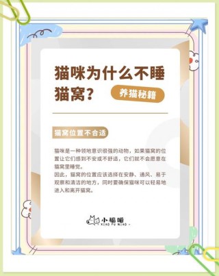 猫咪不睡猫窝怎么办，猫不肯睡猫窝？