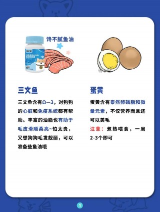 狗狗吃什么对身体好，狗狗吃什么对身体比较好？