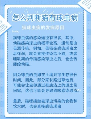 狗狗球虫病有什么症状，狗狗球虫病有什么症状图片？