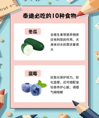 泰迪狗狗可以吃什么，（泰迪狗狗可以吃什么东西）