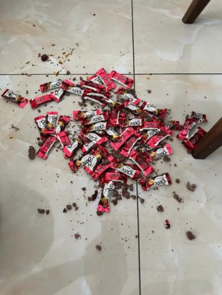 猫咪能吃面包吗，（猫能否吃面包）