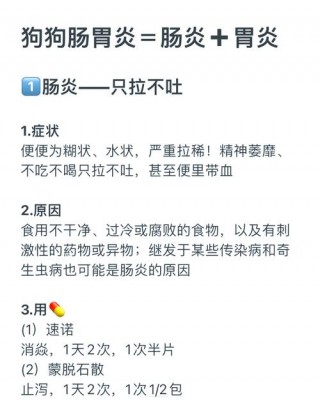 狗狗不吃饭拉稀怎么办？狗狗不吃饭拉肚子怎么办（最新）