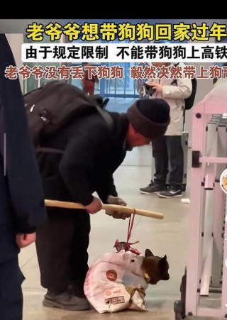 火车上可以带狗狗吗，（火车可以带狗狗吗怎么收费）