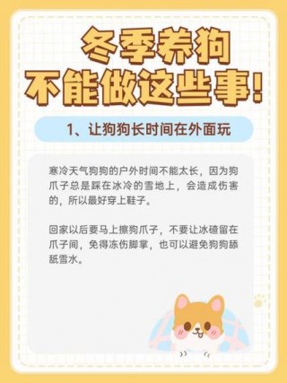 狗狗冬天会冷吗，狗狗冬天冷吗,需要睡垫子吗？