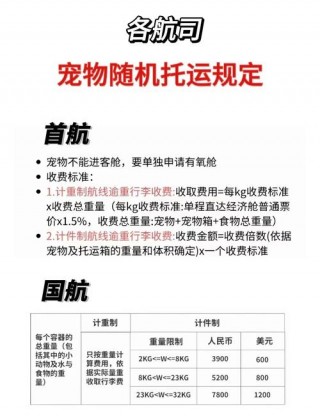 狗狗空运安全吗？空运狗狗会出意外吗（最新）