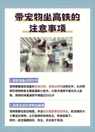 狗狗能上火车吗，（12306宠物托运费用表）